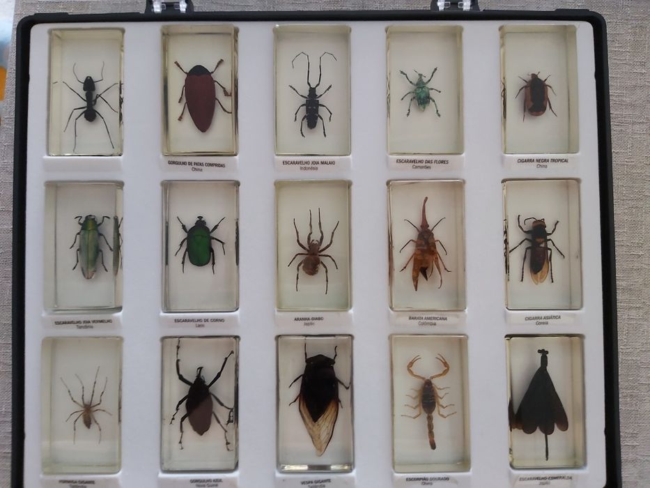 Coleção Dos Bichos(2 caixas completas e uma semi)