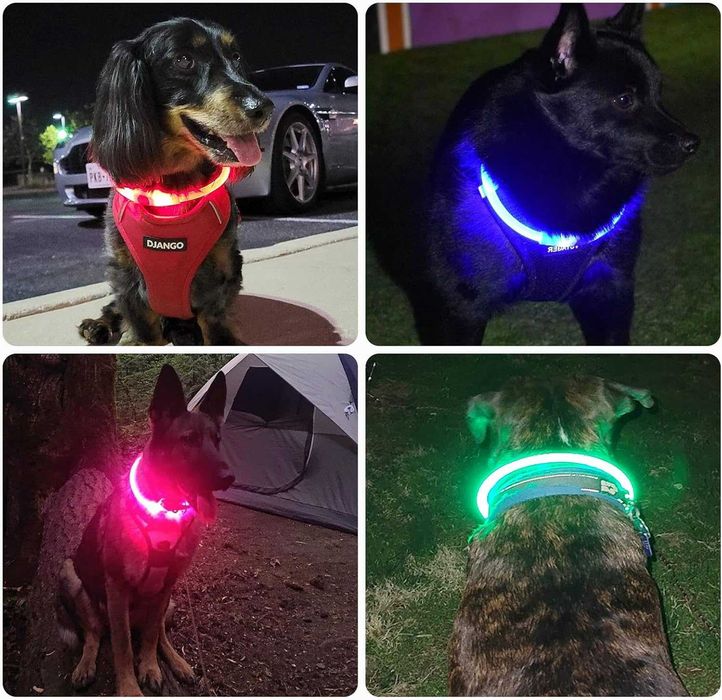 Świecąca obroża dla psa LED USB regulowana nocna czerwona