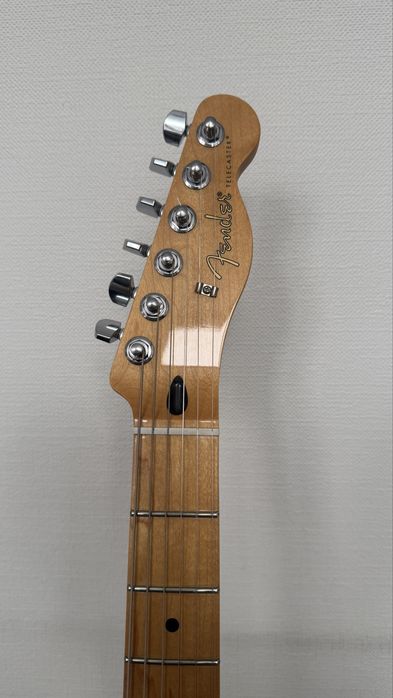 Fender Player Telecaster MN PWT