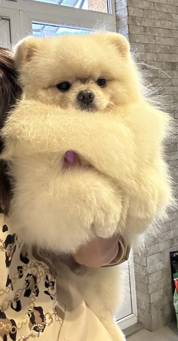 Кремовий хлопчик для вʼязки
