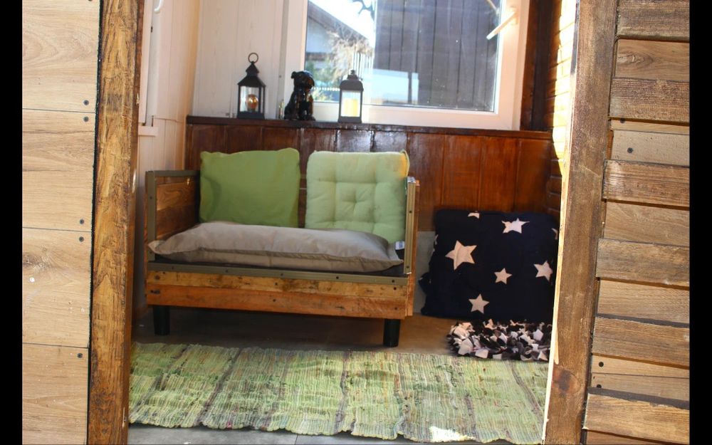 Hotel dla psów i kotow