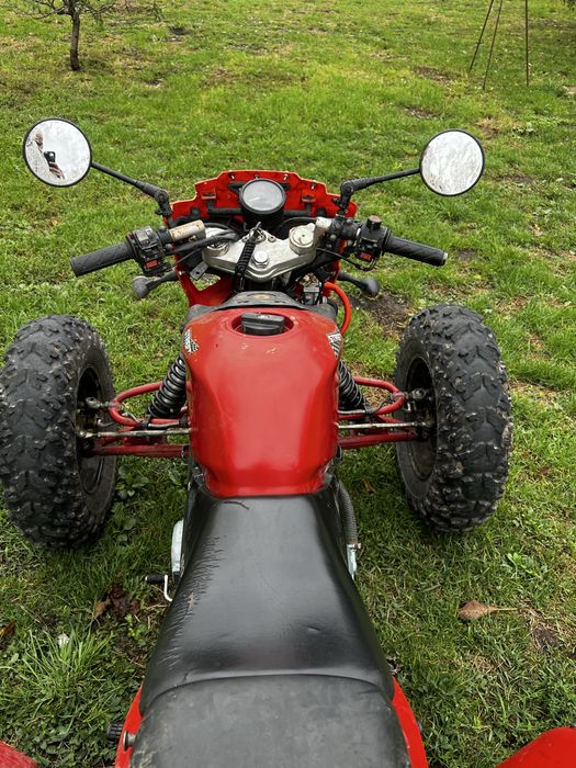 Квадроцикл 250.