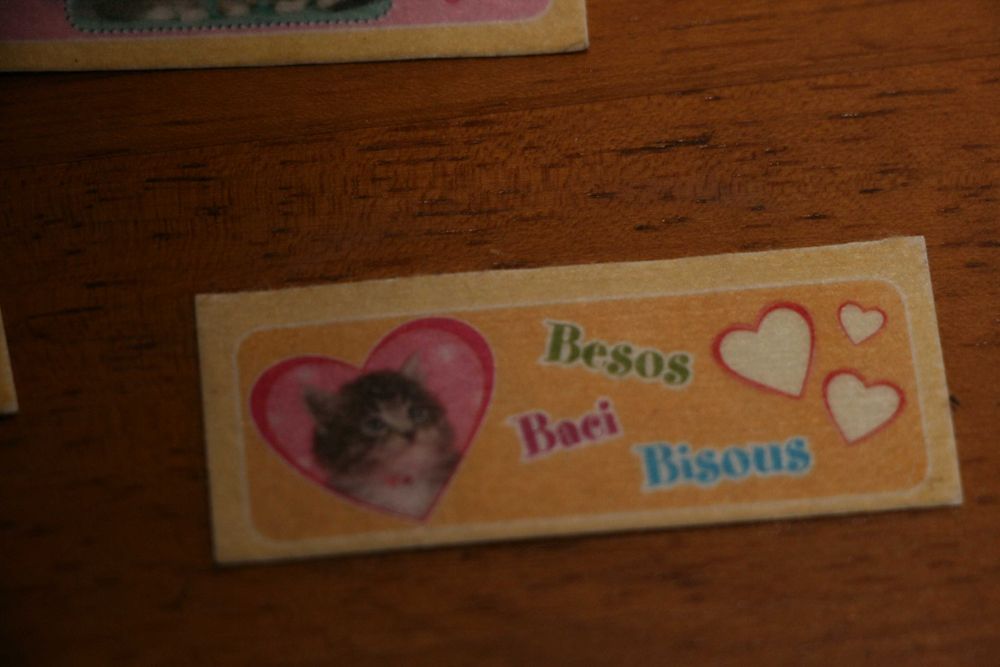 Autocolantes “Meus animais ainda mais divertidos”