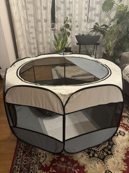 Kojec dla pieska kota