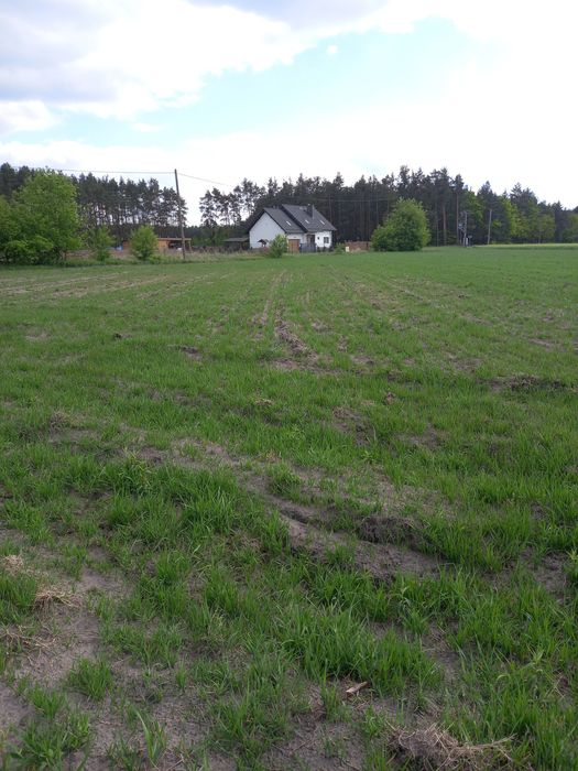 Działki budowlane na sprzedaż – Świeca, gmina Odolanów - Widok 5