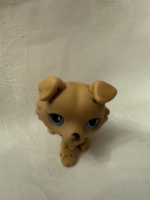 Littlest Pet shop collie LPS #893 piesek collie dog z 2007