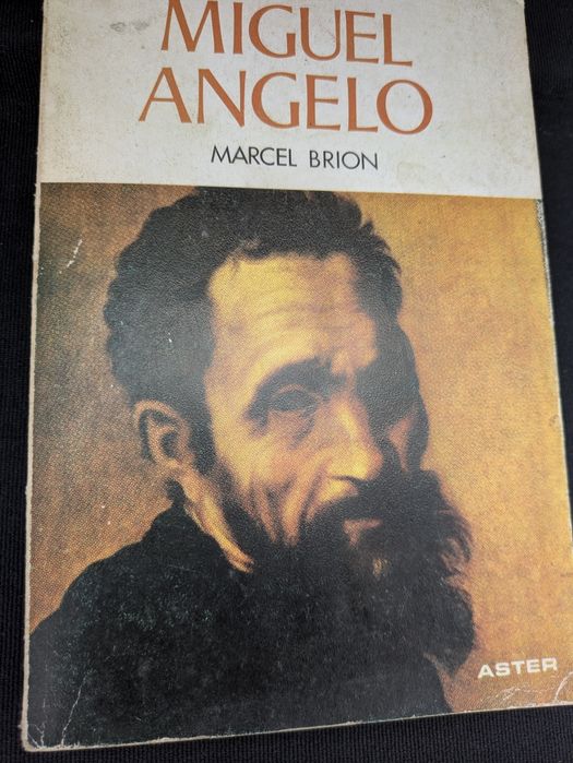 Miguel Angelo de Marcel Brion