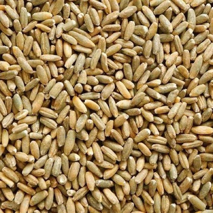 Sprzedam zboże tegoroczne