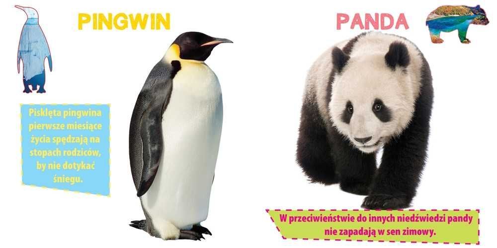 Wesołe Zoo Ciekawostki o Zwierzętach dla Dzieci Oprawa Twarda 10 str