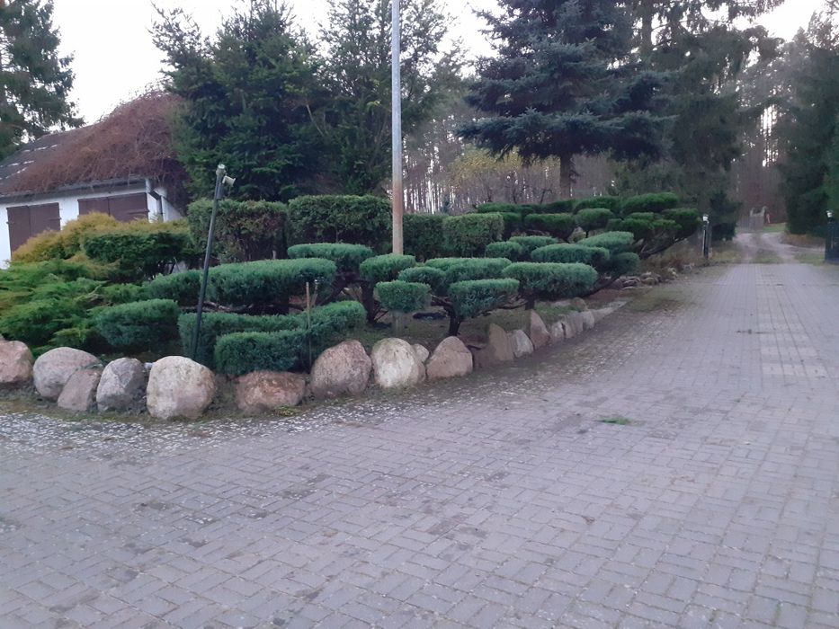 Usługi Ogrodnicze