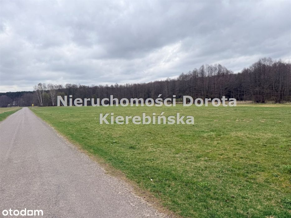 Działka z dosępem do rzeki- Rzeczyca - Widok 3