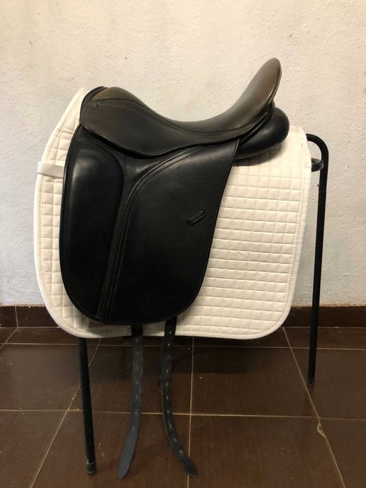 Sela County Perfection para ensino/dressage