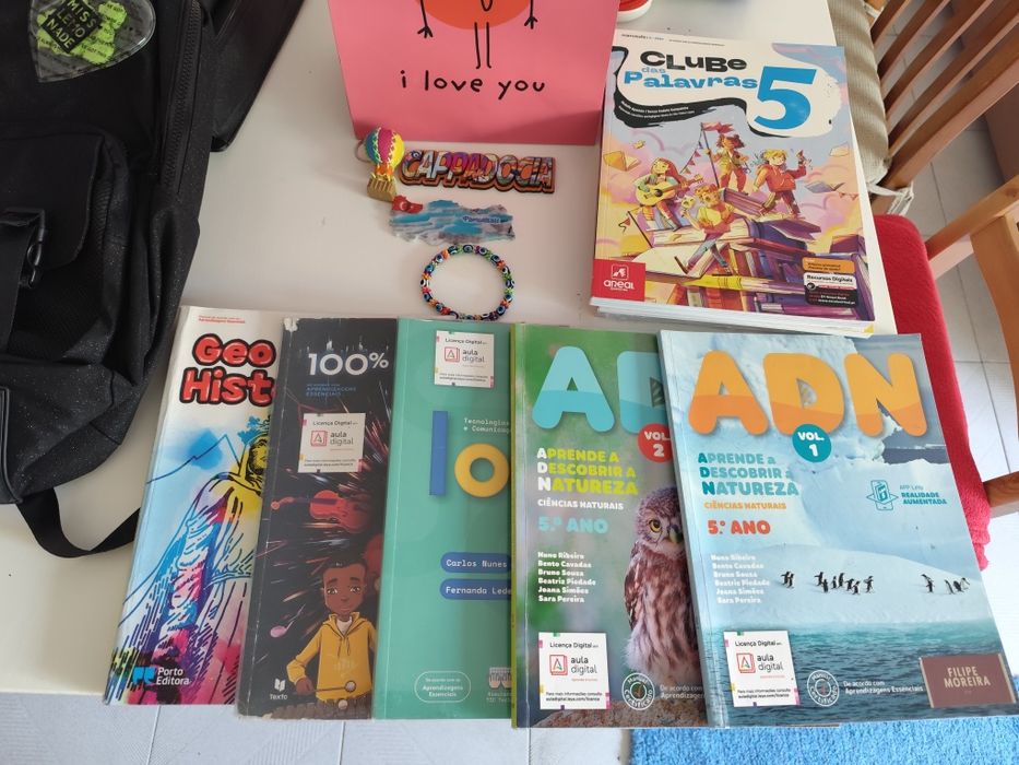 Acompanhamento ao Estudo 1° e 2° Ciclo