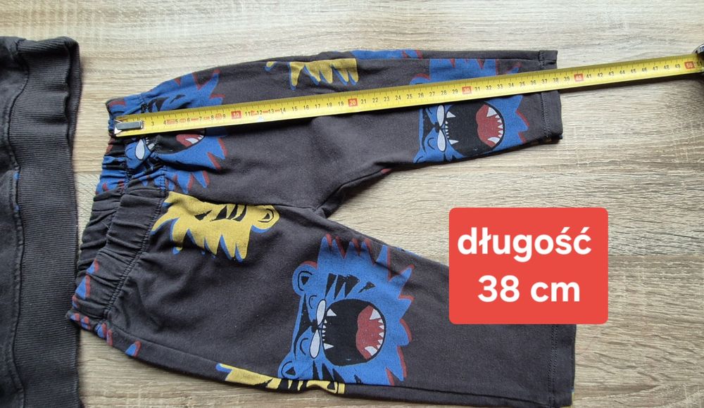 Dres bawełniany Zara 86 komplet dresowy tygrys legginsy bluza