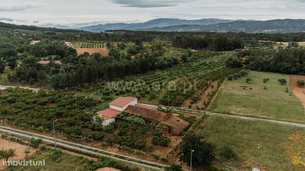 Quintinha T2 / Fundão, Enxames
