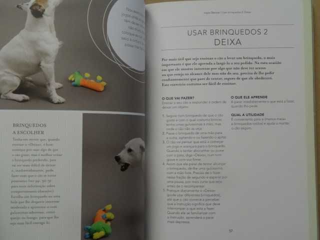 Jogos Divertidos para Treinar o Seu Cão de Sophie Collins - 1ª Edição