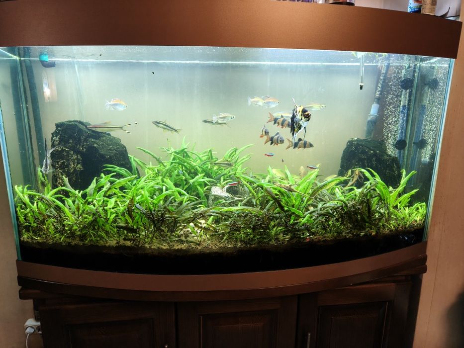 Продам акваріум 350 л. З усім фільтр, ультра фіолетовою лампою...