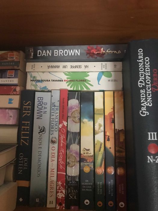 Livros de Nicholas Sparks, Dan Brown, José Rodrigues dos Santos