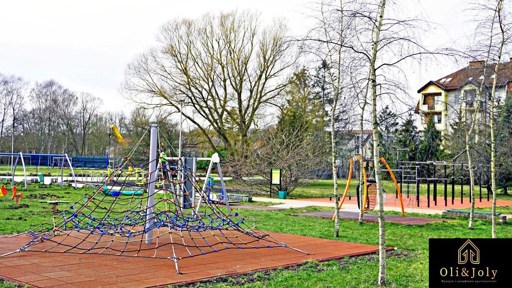 Oli&Joly Wylotowa 83A