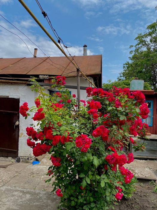 Продам ДОМ г. Лозовая в городе (р-н поликлиники)