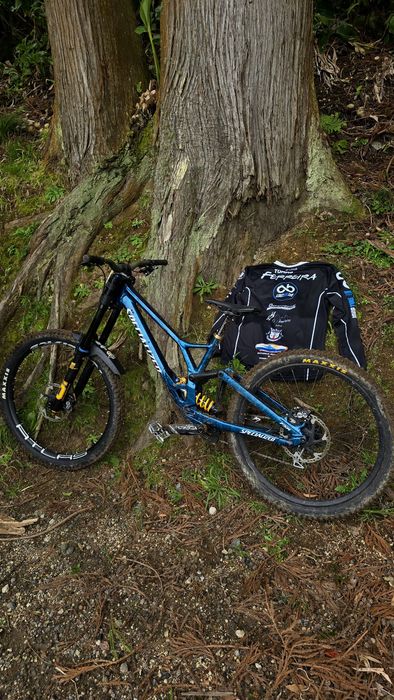 Specialized demo race S3