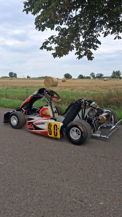 Sodikart gokard 125cm3 duży szybki oryginał
