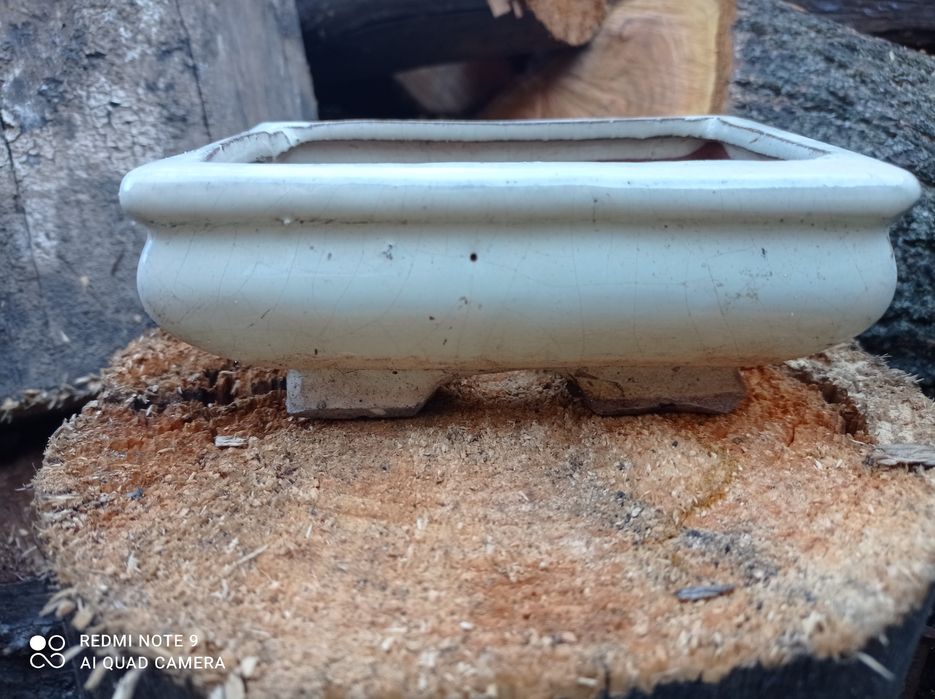 Горщик для бонсай Плошка