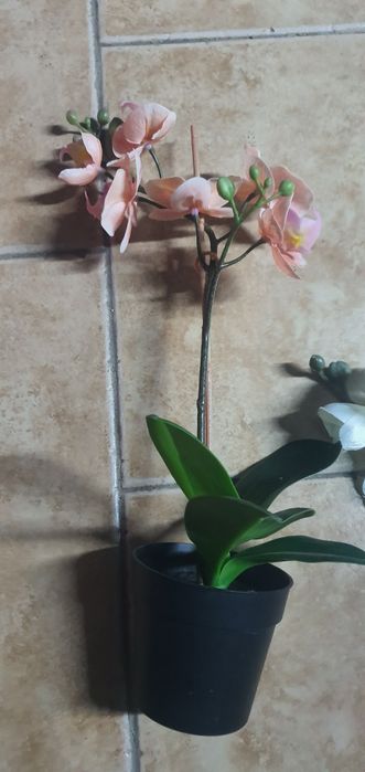 Orquidia artificial