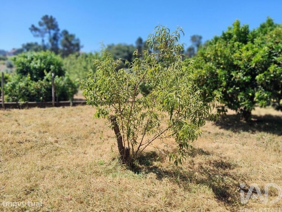 Terreno em Castelo