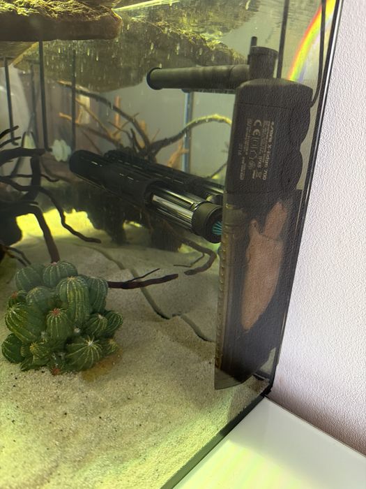 vendo aquario 80cmx40cm com acessorios