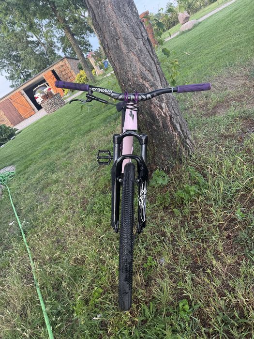 Rower Alaudark dirt