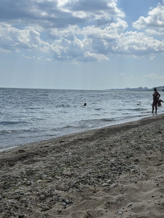 Здам житло  в Одесі біля моря