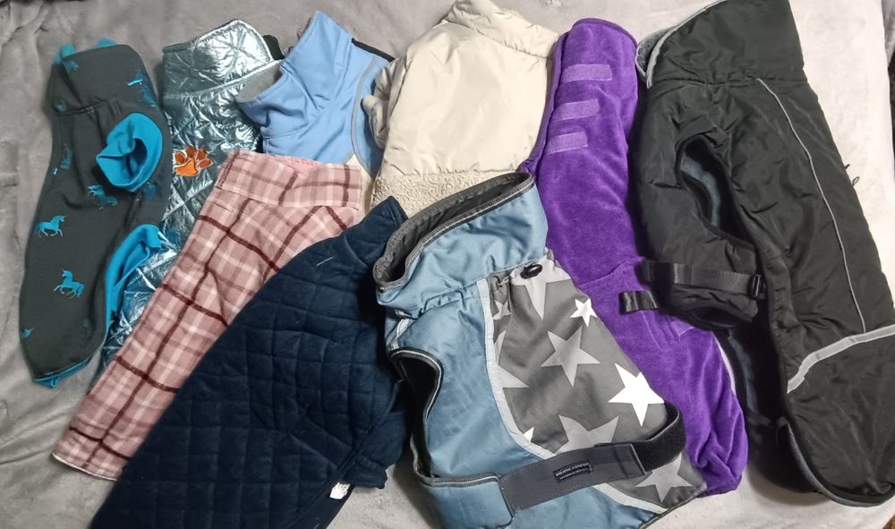 Одежда для собак, одяг для собак