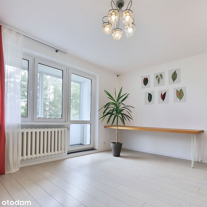 42,5m na Mokotowie do wprowadzenia umeblowane, blisko SGGW Komunikacja