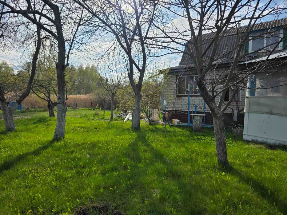 Дача біля річки з власним виходом до води СТ Вільшанка с.Будище