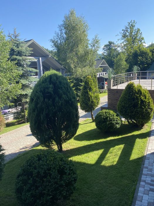 Будинок в горах Карпати Мигово