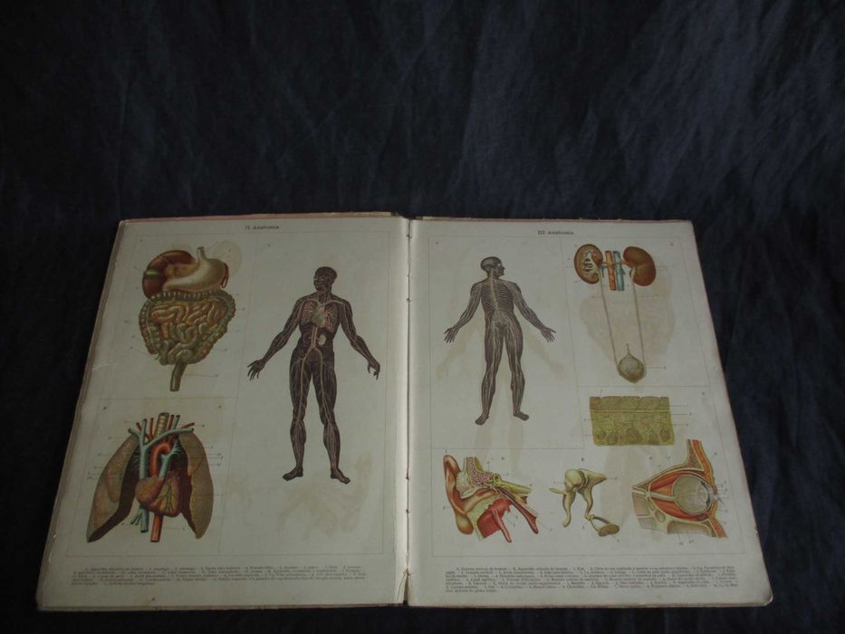 Livro Atlas de Zoologia Baltazar Osório e Mattoso Santos