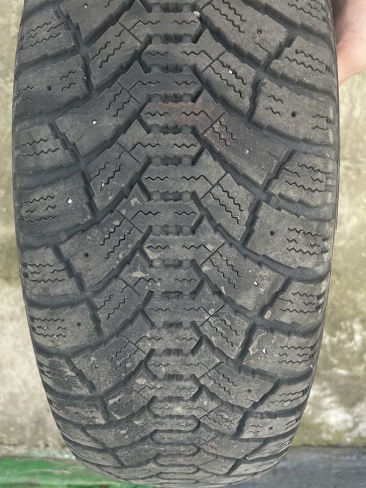 Зимова шина Tunga Nordway 185/55/15