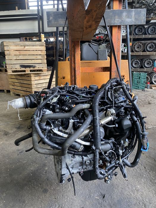 Мотор 1.5 дизель Форд Фокус 3 Дивгун 1.5 diesel Ford Focus 3 двигатель розборка