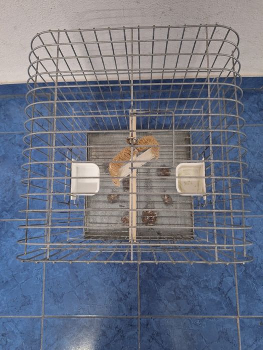 Gaiola para pássaros