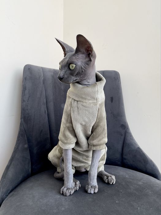 Одяг для кота / котів сфінксів девон-рексів