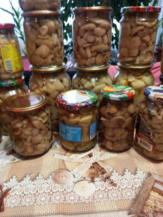 Гриби мариновані