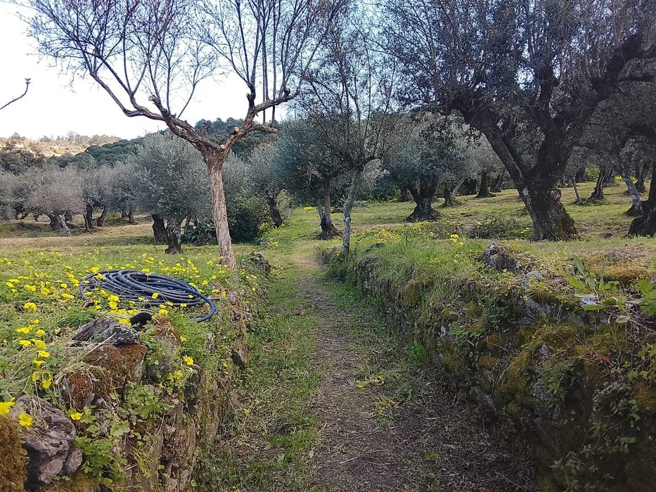 Terreno para construção