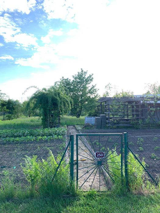 Działka ROD Oświata 425 m2