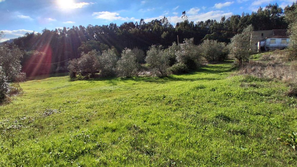 Quinta com 3 hectares a 20 km de Lisboa