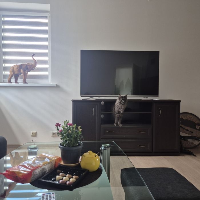 Domowy hotelik dla zwierząt