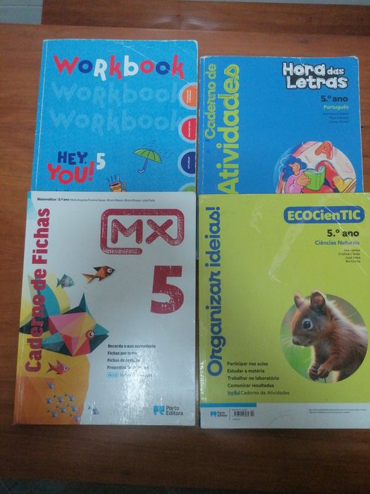 Livros de exercícios  5 ano.