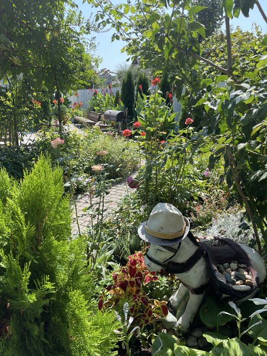 Сдам(аренда)дом у моря Одесса/Фонтанка пляж Яхта первая линияПосуточно