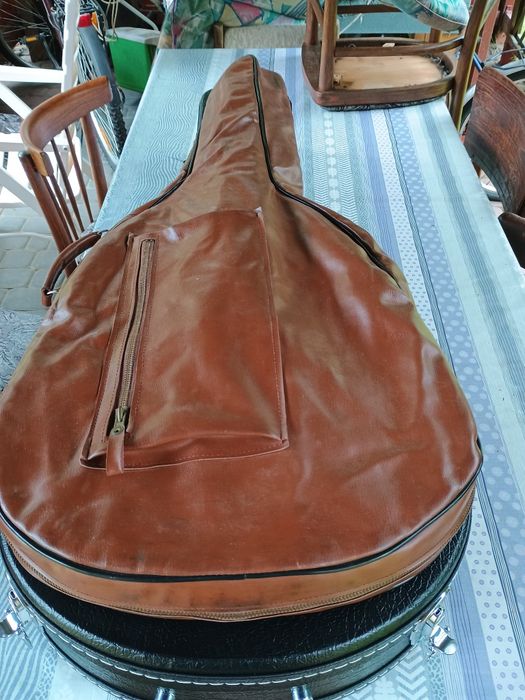 Polska gitara malwa