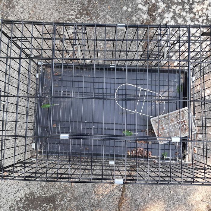 Gaiola esquilos/coelhos